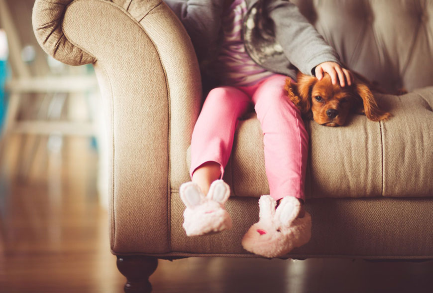 Scelerisque vestibulum urna